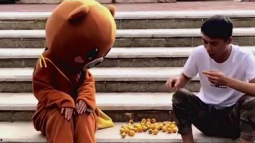 网红熊吃瓜,揭秘娱乐圈幕后真相  第1张