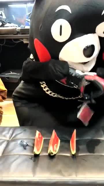 网红熊吃瓜,揭秘娱乐圈幕后真相  第2张